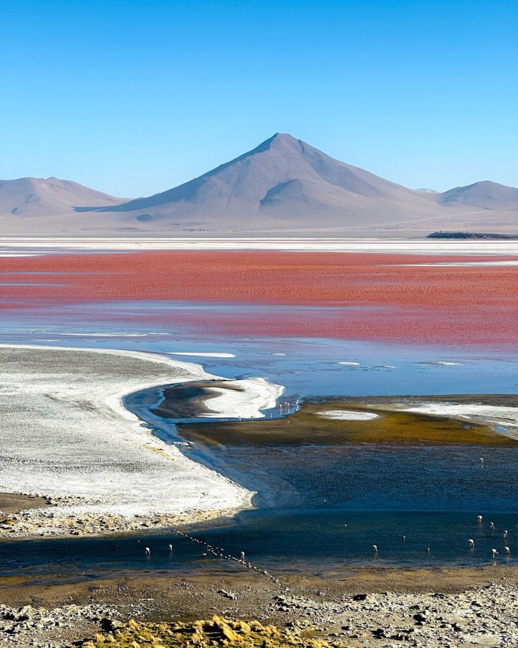 Instagram post from blans_k. This post is in position 1.