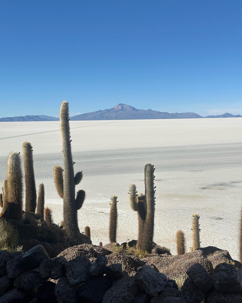 Instagram post from blans_k. This post is in position 3.